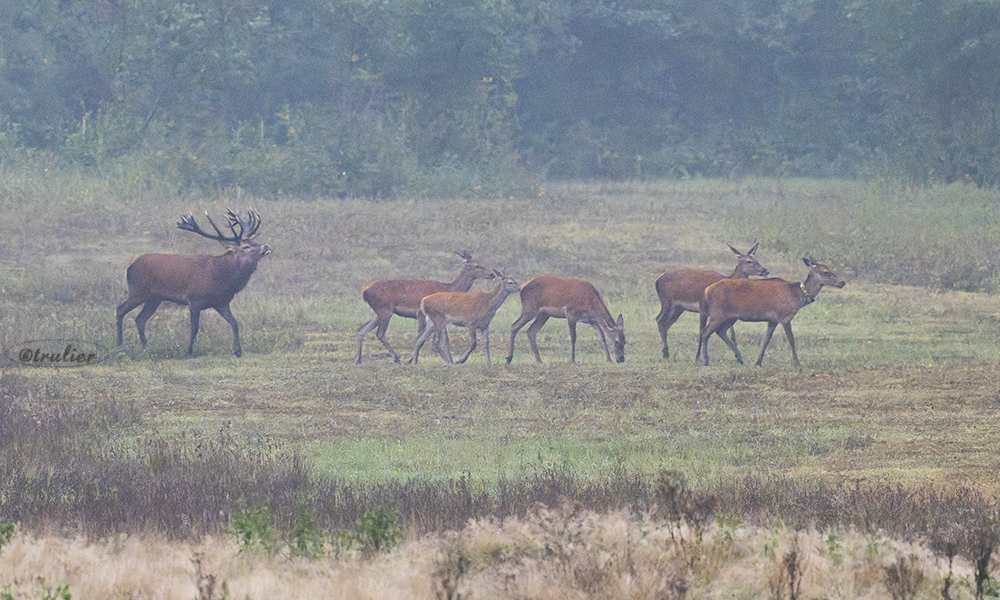 Natuurfotografie